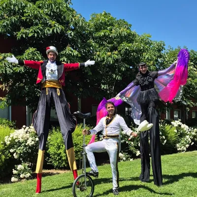 Show de Circo para eventos