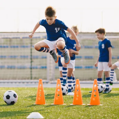 Animaciones José y sus amigos 