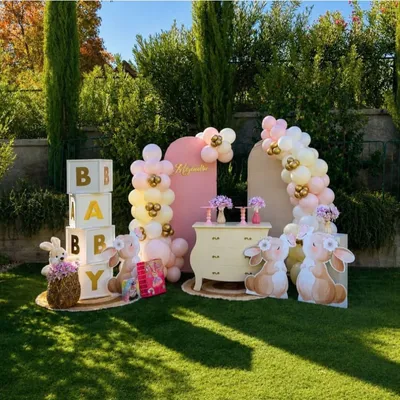 Packs Baby Shower